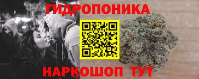 спайс Аргун