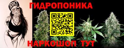 гашик Аргун