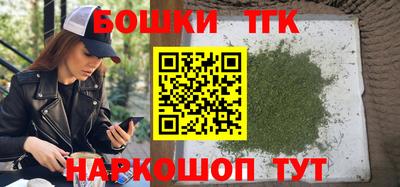 гашик Аргун