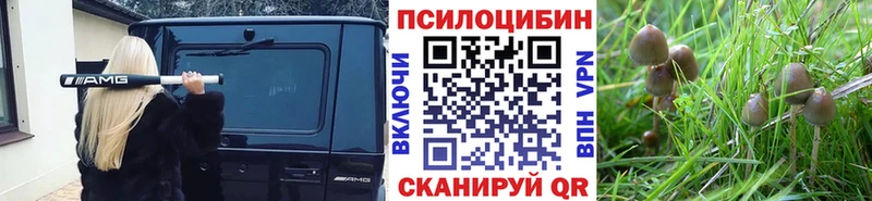 Псилоцибиновые грибы MAGIC MUSHROOMS  где продают наркотики  Белогорск 