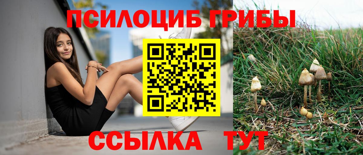 Галлюциногенные грибы ЛСД  Псилоцибиновые грибы Cubensis  Белогорск  Вход с VPN 
