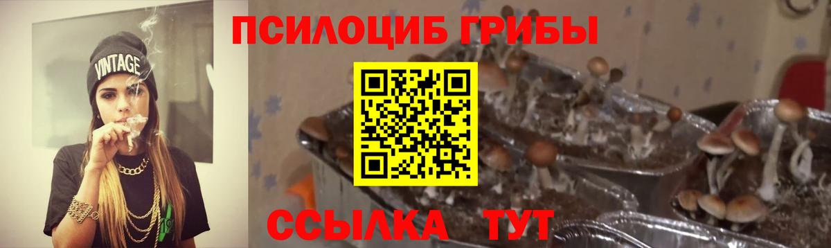 Галлюциногенные грибы MAGIC MUSHROOMS  Белогорск  Галлюциногенные грибы GOLDEN TEACHER 